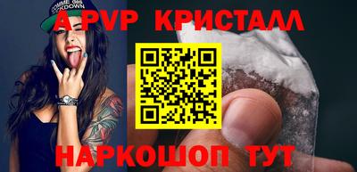 твердый Кингисепп