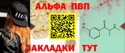 твердый Кингисепп