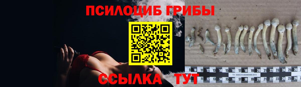 цены наркотик  Галлюциногенные грибы MAGIC MUSHROOMS  Вход с VPN  Кострома 
